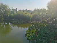 這麼近那麼美國慶遊磁州水墨園。