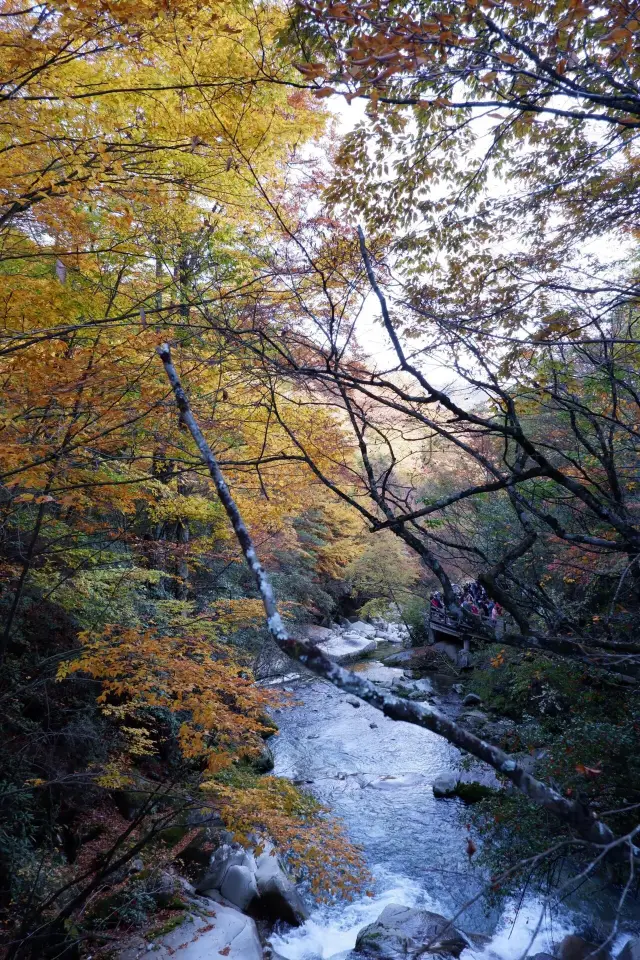 쓰촨성 바중 | 광우산 중국 단풍의 제1산