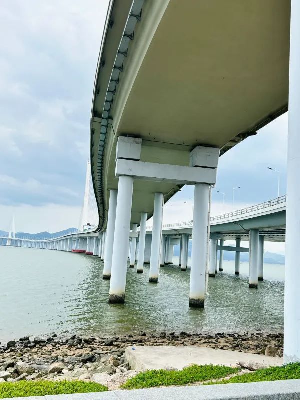 深圳灣公園⛲️怎么玩❓—-超詳細攻略奉上📜