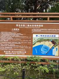 青島第二海水浴場，海邊的寶藏之地。