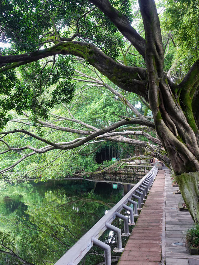 重慶版小西湖，一個被低估的寶藏公園。