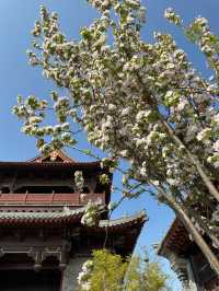 快來商丘古城，開啟一場屬於你的穿越之旅吧。