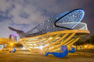 Anping: Discover the Charm of the Silk Screen Capital