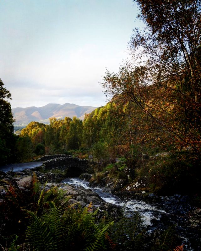 探索Borrowdale：湖光山色間的隱世秘境。