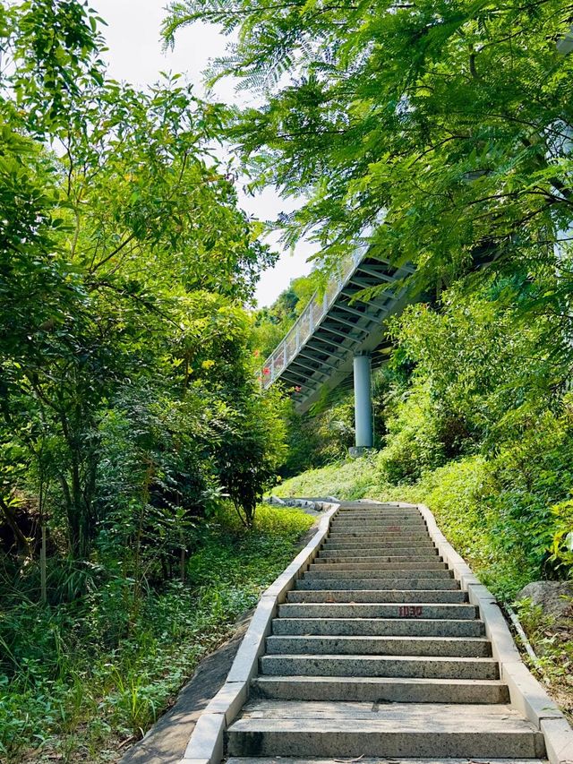 珠海板樟山。