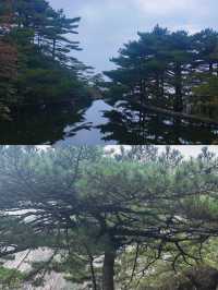 黃山旅遊攻略。