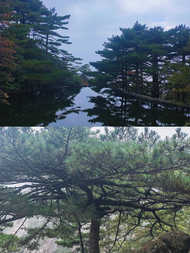 黃山旅遊攻略。