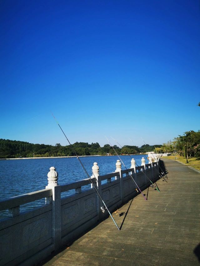 就在廣州，有一個可與大理媲美的地方，露營、野餐、釣魚、騎行。