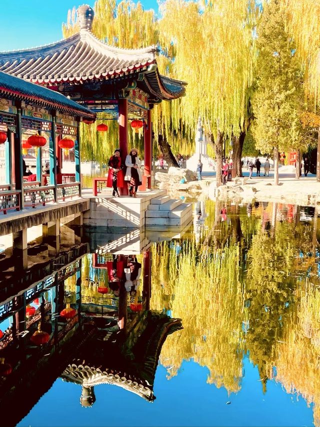 暖陽下的大觀園，一幅寧靜而美麗的畫面！。