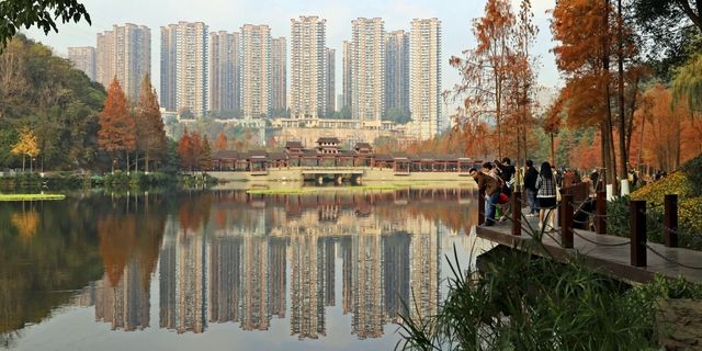 油畫般的「水上森林」，鐵路直達！