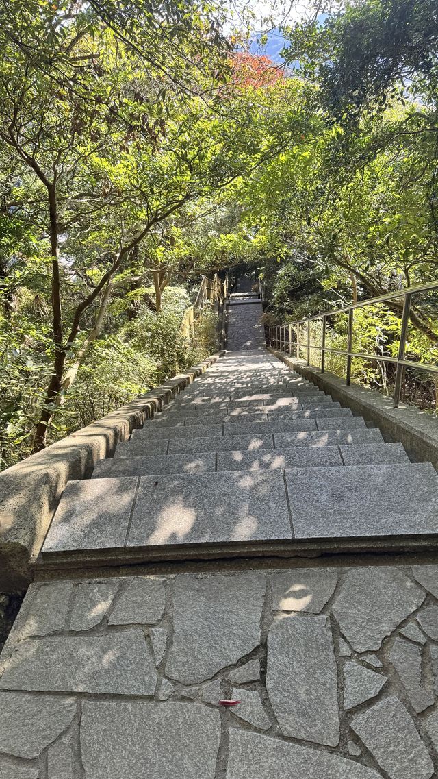 日本三大名山之一千葉鋸山日本寺。