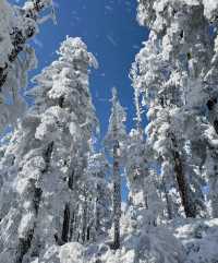 瓦屋山Live，真的不是禾木！。