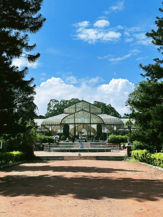 拉巴克植物園：周末的寧靜綠洲，與自然的親密接觸。