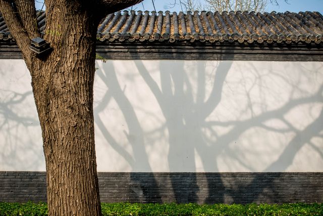 千年古剎臨濟寺｜打卡石家莊。
