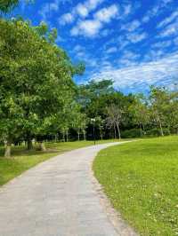 廣東深圳蓮花山公園｜美極了，賞花不走回頭路！。