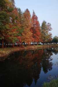 蘇州上方山森林公園
