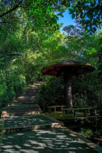 廣州白雲山旅遊攻略