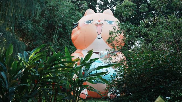 出發偶遇可愛萌物們｜蘭圃公園的貓貓展又來啦