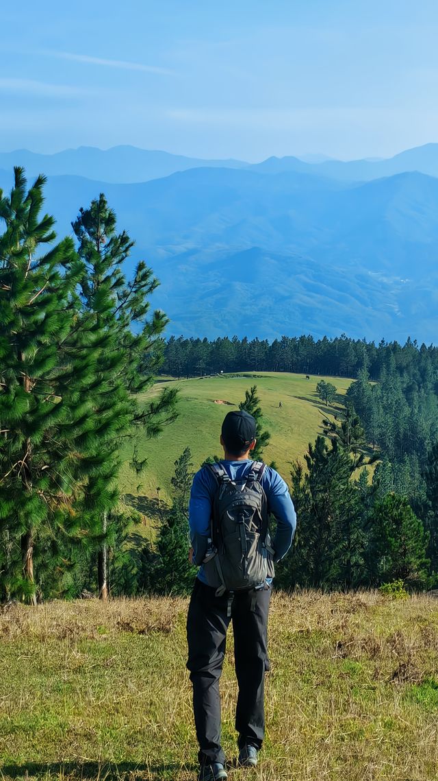 據說這裡的高山草甸獨屬海南·同款阿勒泰天花板