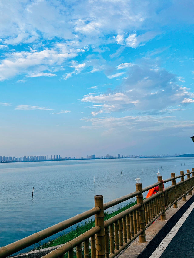 湖光秋月兩相和 | 江夏湯遜湖村