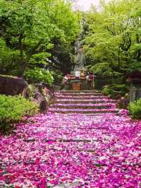 日本松江市由志園