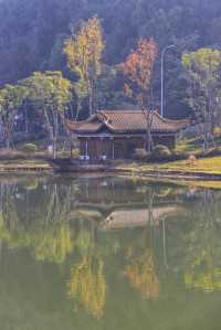 千年古寺｜靈泉寺