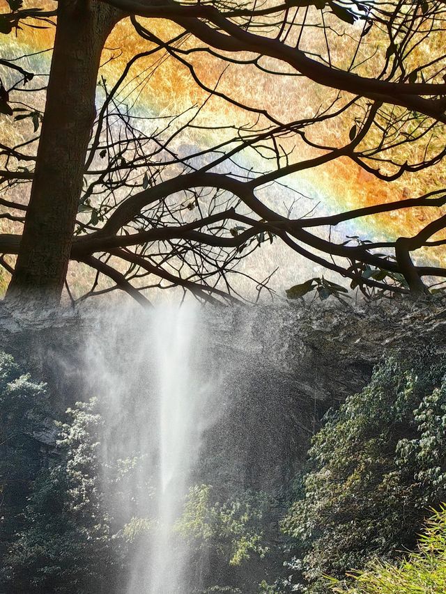 衢州·藥王山｜探秘神農秘境，暢享自然瑰寶