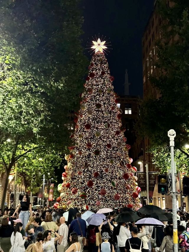 a Unique Christmas at  Sydney's Martin Place