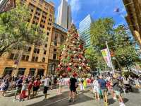 Sydney's Martin Place Hosts the Southern Hemisphere's Tallest Christmas Tree