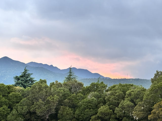 在大理，治癒自己的一次別墅民宿之旅