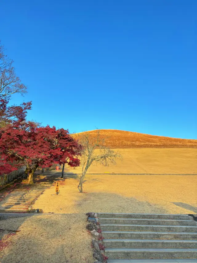 Attention travelers to Nara: Mount Wakakusa is closed...