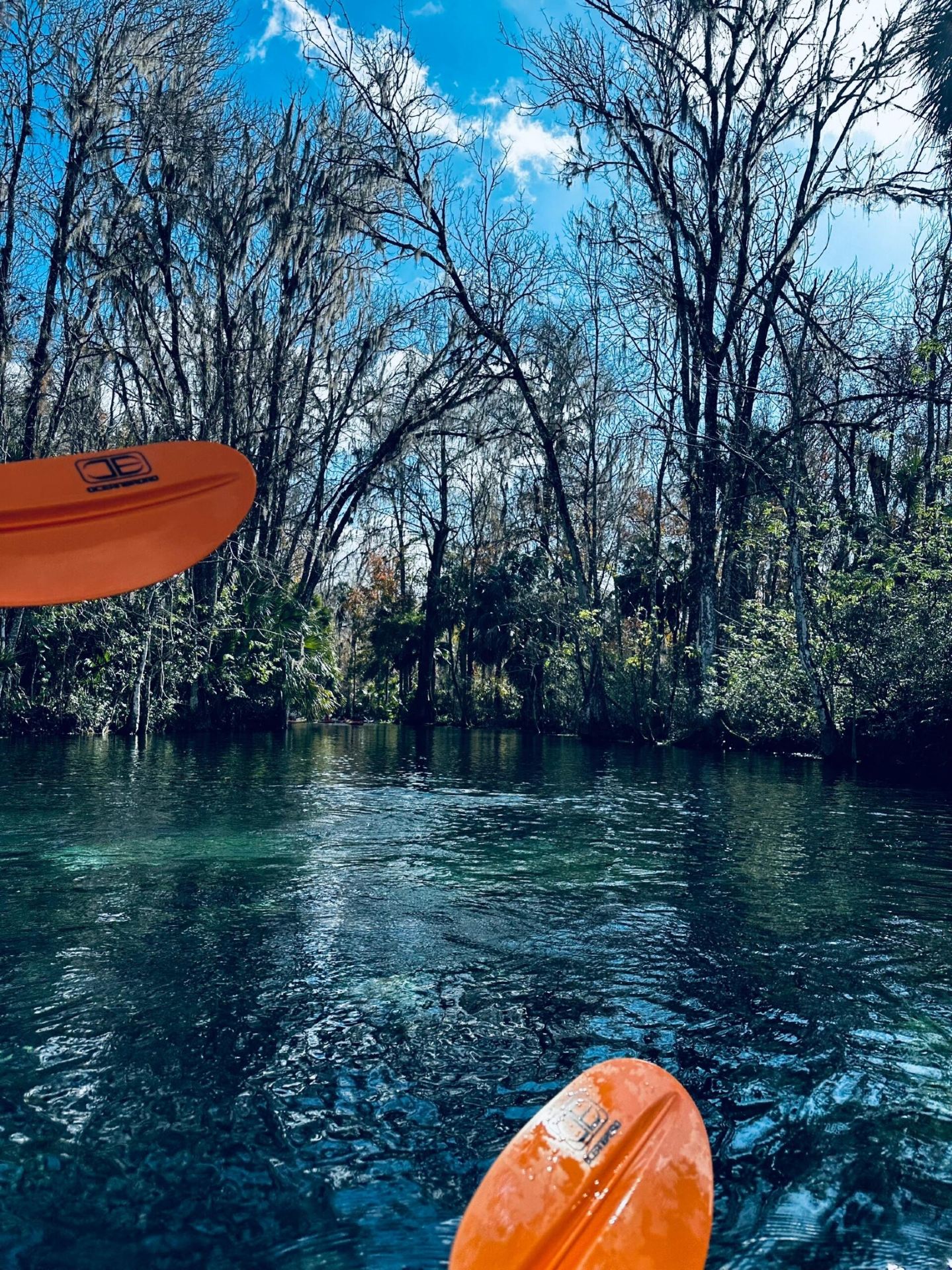Chicago -> Tampa Winter Travel Guide Part 1