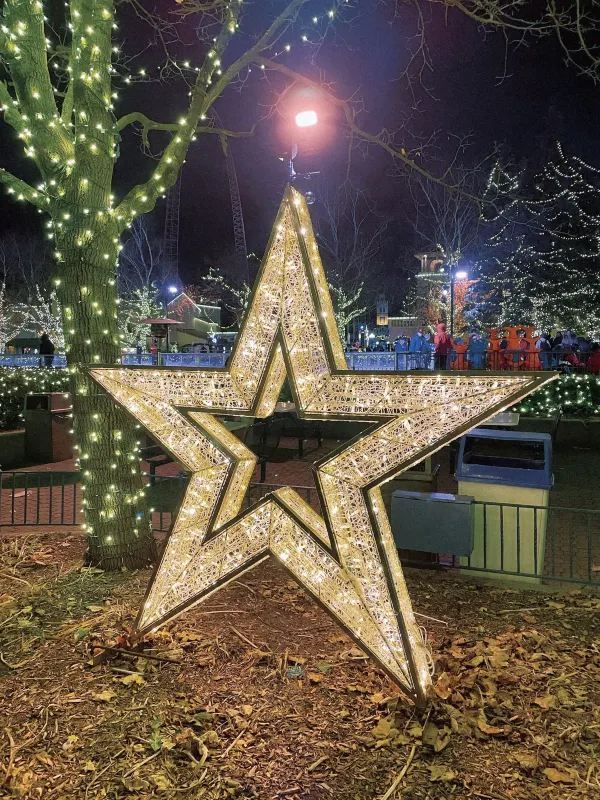 Toronto Wonderland Winterfest is as Beautiful as a Fairy Tale 🎄
