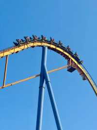 Canada's Wonderland: A Must-Visit Amusement Park