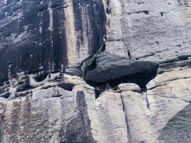 武夷山行程(第二日) 武夷山行程(第二日)