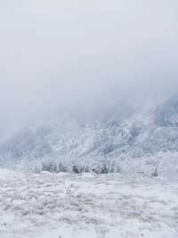 去咩嘢東北呀！廣東300直達神農架睇雪！