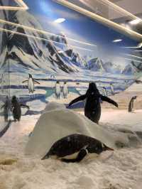 原來極地公園還可以這麼玩 