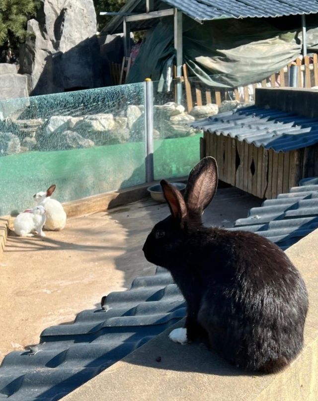 秦嶺國家植物園