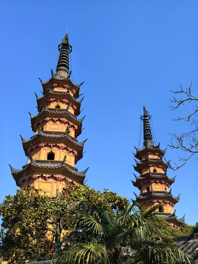 雙塔與蠟梅
