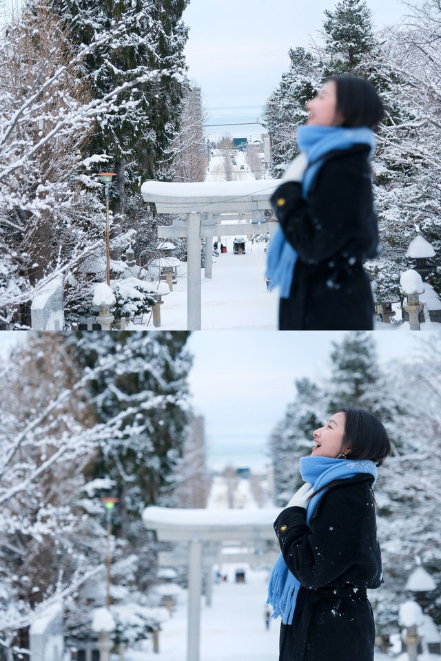 北海道小眾神社，小樽暴雪裡的紅色鳥居