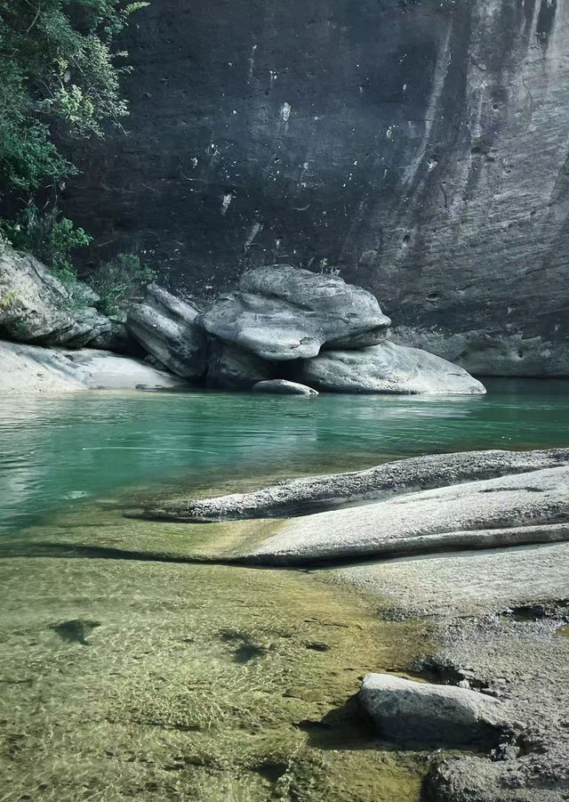 去過武夷山N次總結出來的經驗！