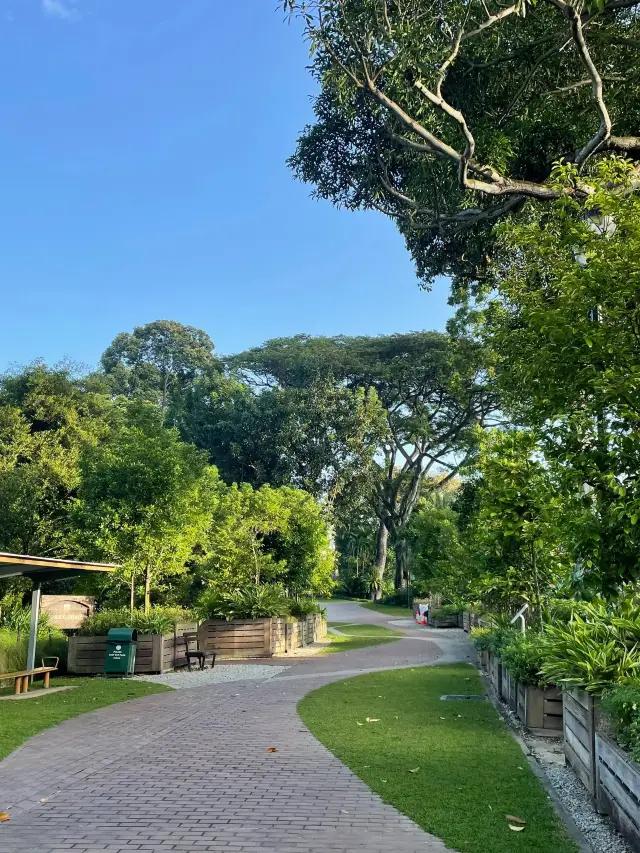 免簽新加坡封神級遊玩指南