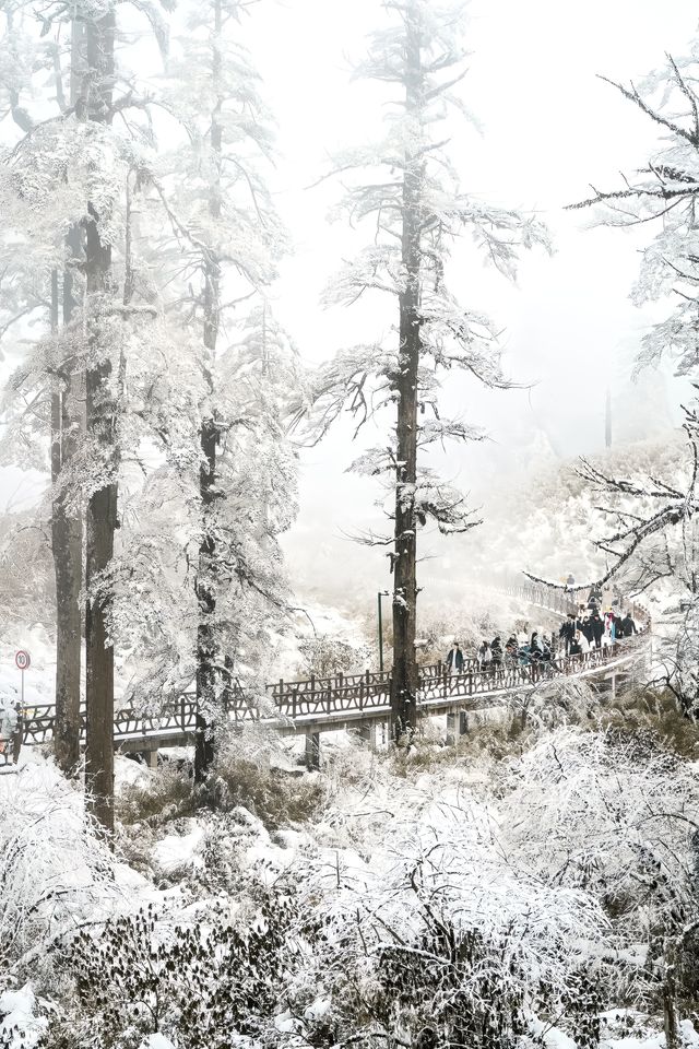 被低估嘅冰雪王國（瓦屋山）