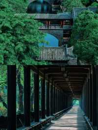 東莞嶺南園林，今天起終於免門票啦