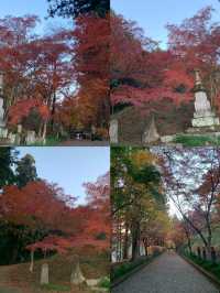 泉佐野：關西的小眾旅行天堂