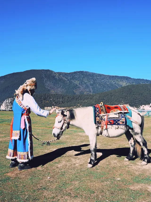 香格里拉藏服體驗｜納帕海打卡攻略