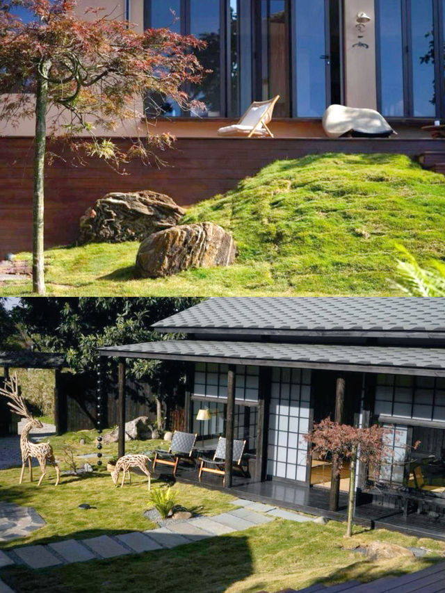 誤入撫仙湖，住進了雲朵裏