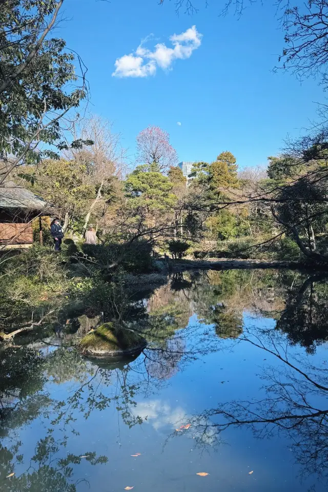 Tokyo City Walk: Encountering the Nezu Museum