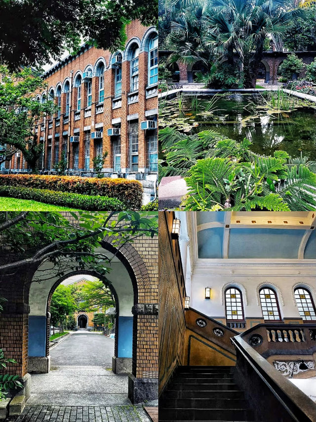 初見台北愛上這個被青山雲海包圍的城市