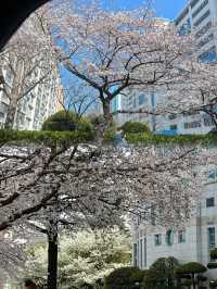 蔚山——韓國隱藏的寶藏城市！